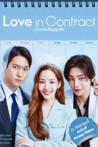 Love in Contract