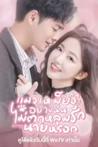 My Cat-astrophic Lover