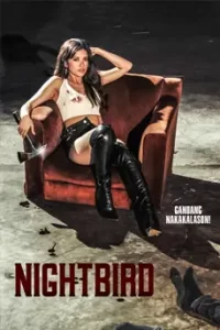 ดูหนัง Nightbird (2023) ซับไทย เต็มเรื่อง