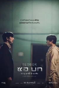 Seobok