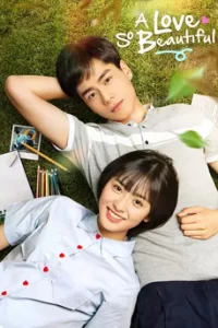 A Love So Beautiful คนนั้นต้องเป็นเธอ