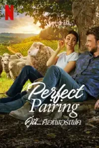 A Perfect Pairing (2022) คู่นี้...คือเพอร์เฟค