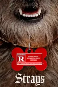 Strays (2023) สเตรย์ส