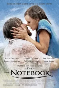 The Notebook (2004) รักเธอหมดใจ ขีดไว้ให้โลกจารึก