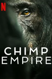 Chimp Empire (2023) อาณาจักรชิมแปนซี