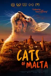 Cats of Malta (2023)